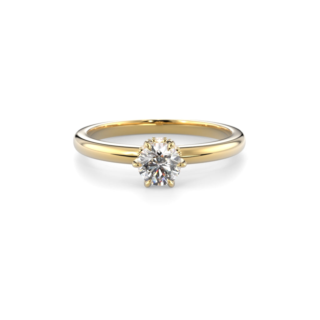 Heidi Hidden Halo 0,38 ct