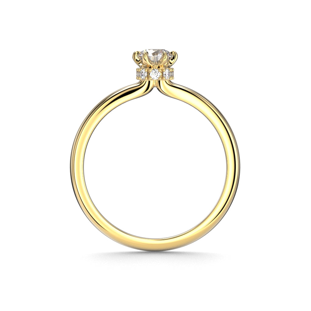 Heidi Hidden Halo 0,38 ct