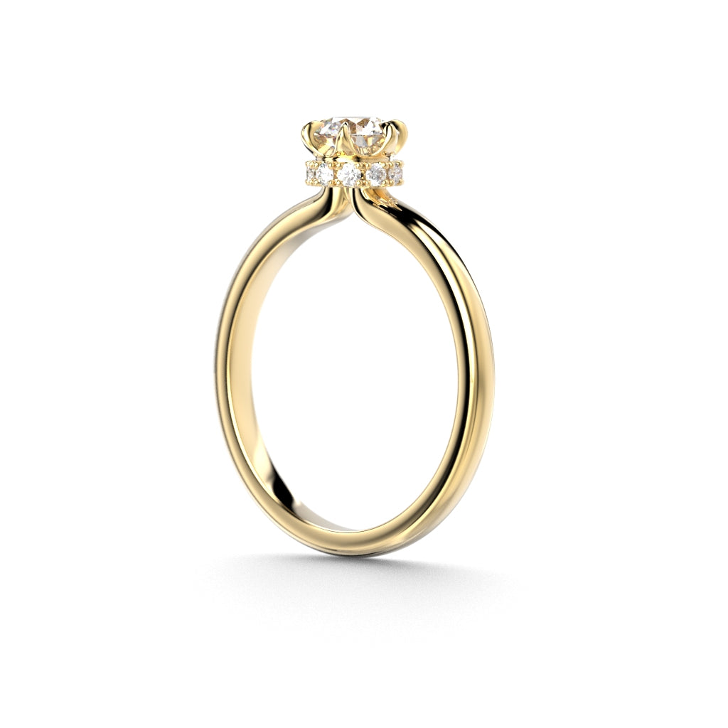 Heidi Hidden Halo 0,60 ct