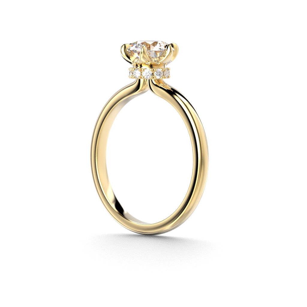 Heidi Hidden Halo 1,10 ct