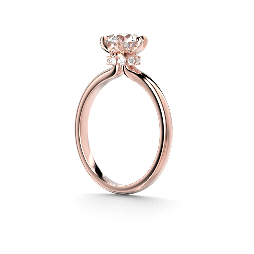 Heidi Hidden Halo 1,10 ct