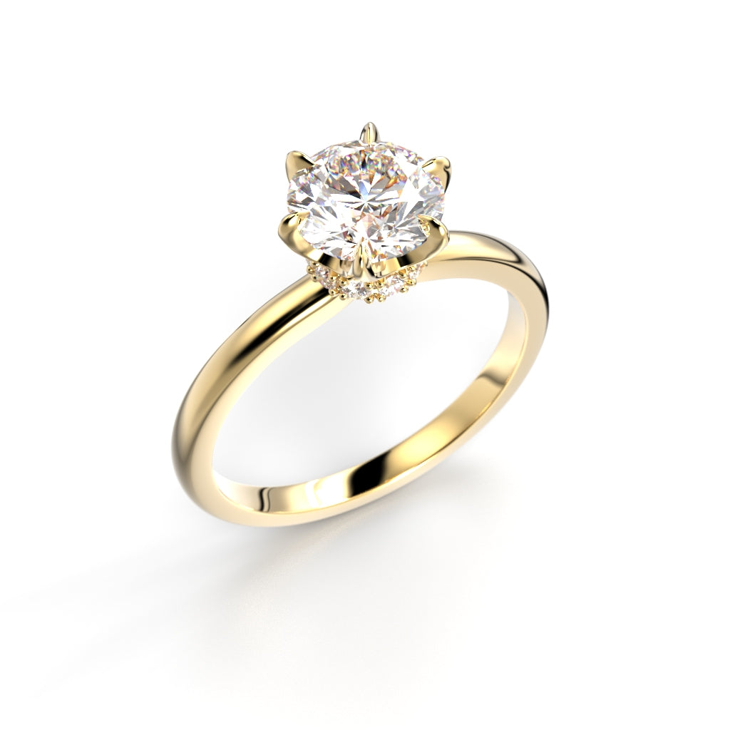 Heidi Hidden Halo 1,10 ct