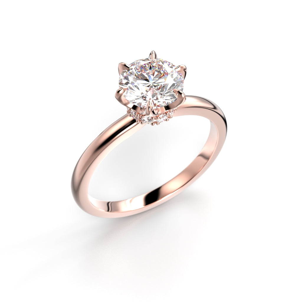 Heidi Hidden Halo 1,10 ct