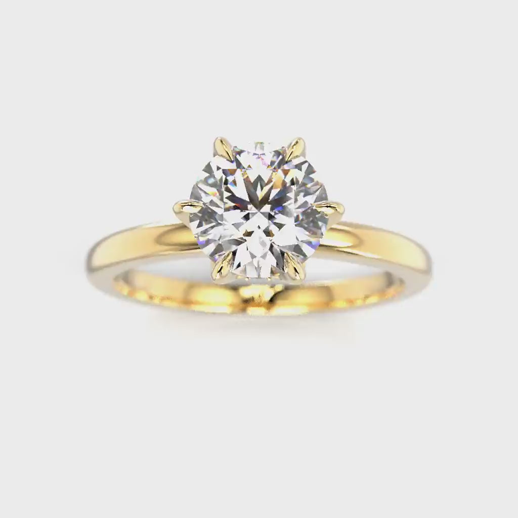 Heidi Hidden Halo 1,10 ct