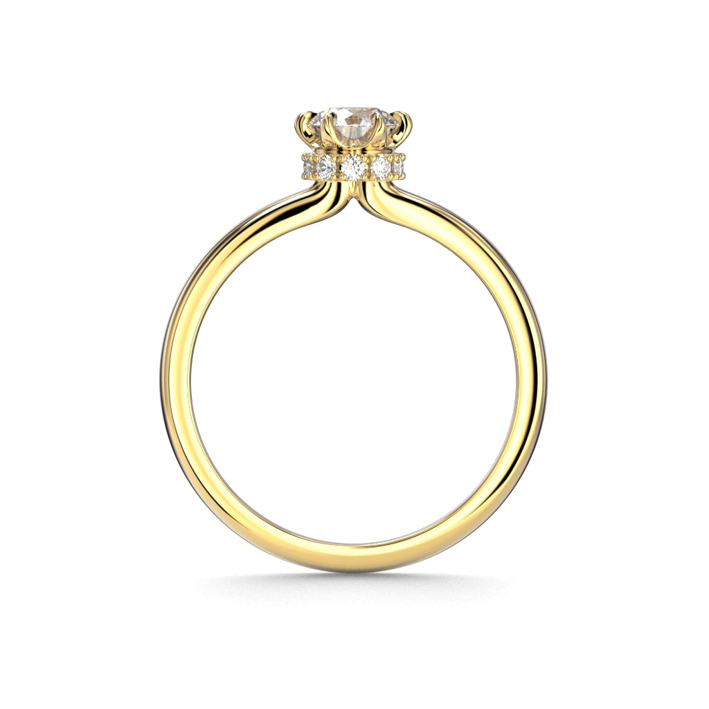 Heidi Hidden Halo 0,60 ct