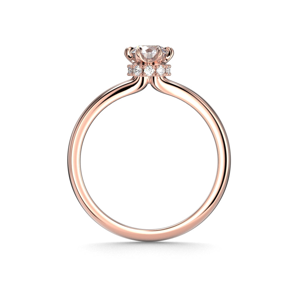 Heidi Hidden Halo 0,60 ct