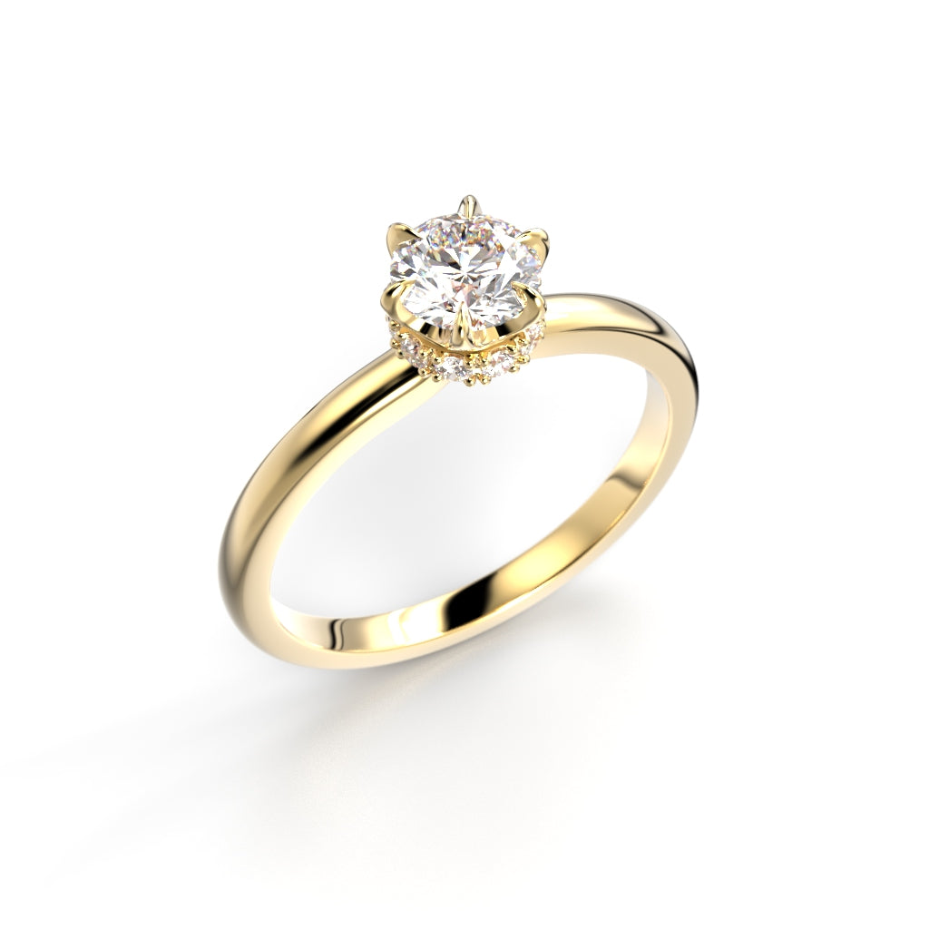 Heidi Hidden Halo 0,60 ct