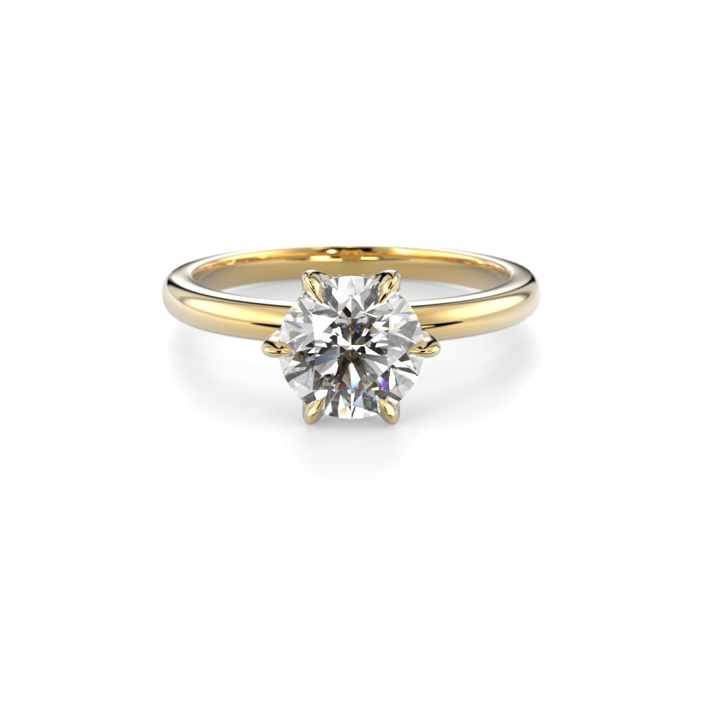 Heidi Hidden Halo 1,10 ct