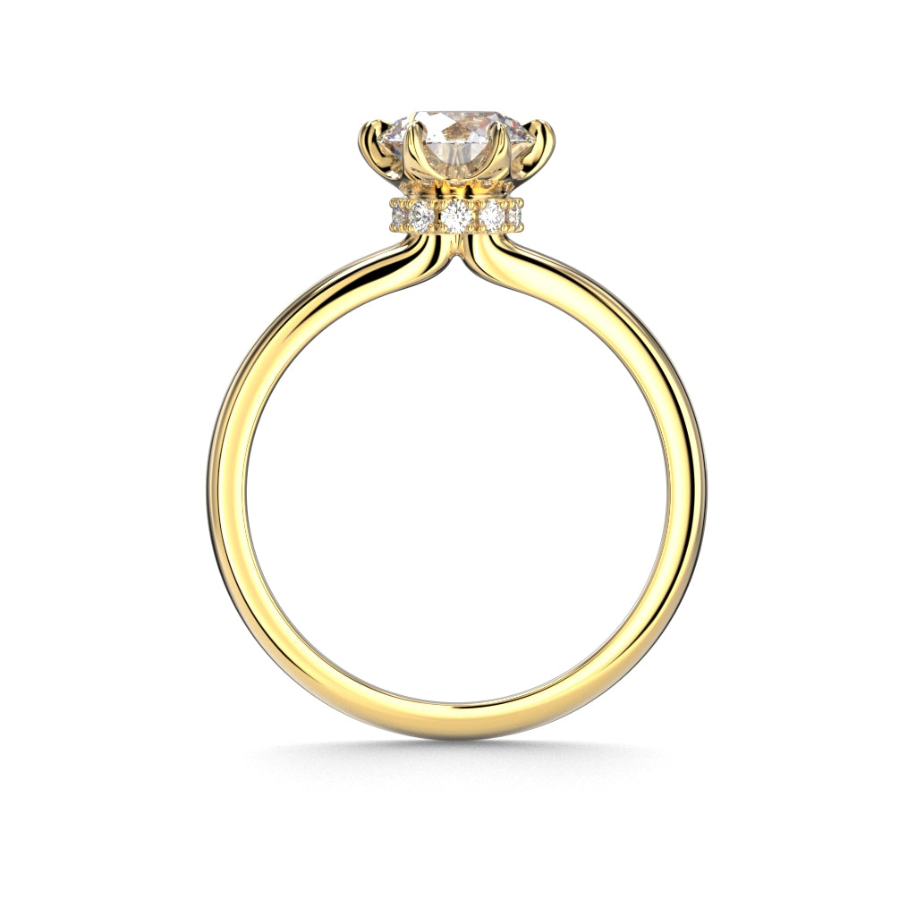 Heidi Hidden Halo 1,10 ct