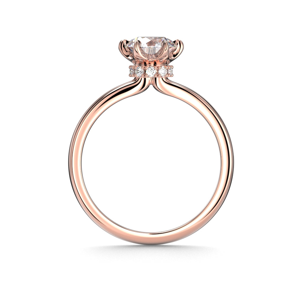 Heidi Hidden Halo 1,10 ct