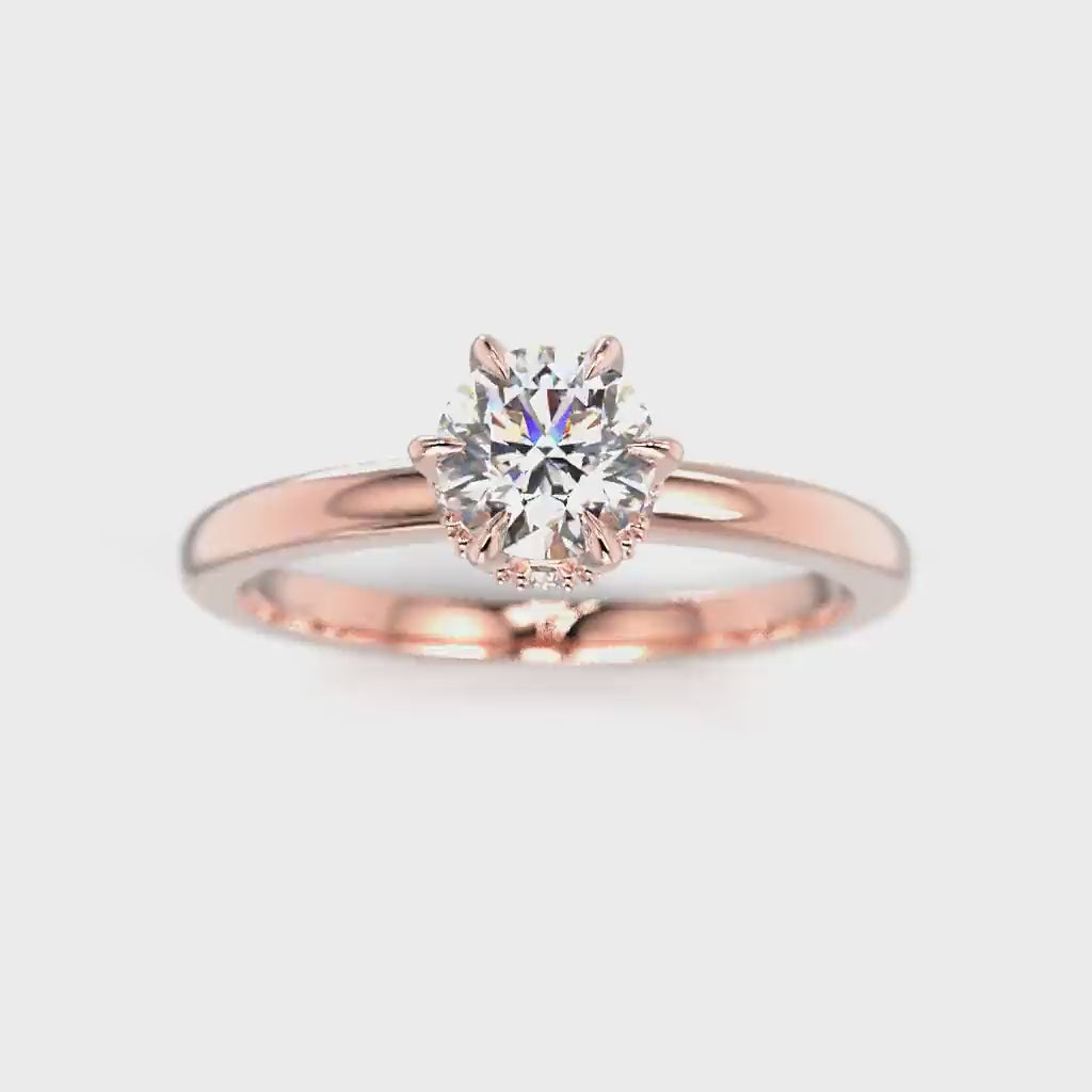 Heidi Hidden Halo 0,60 ct