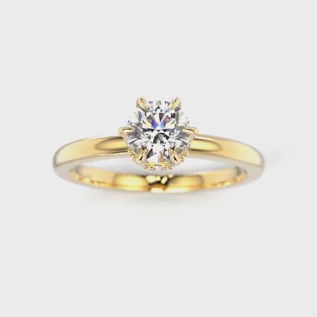 Heidi Hidden Halo 0,60 ct