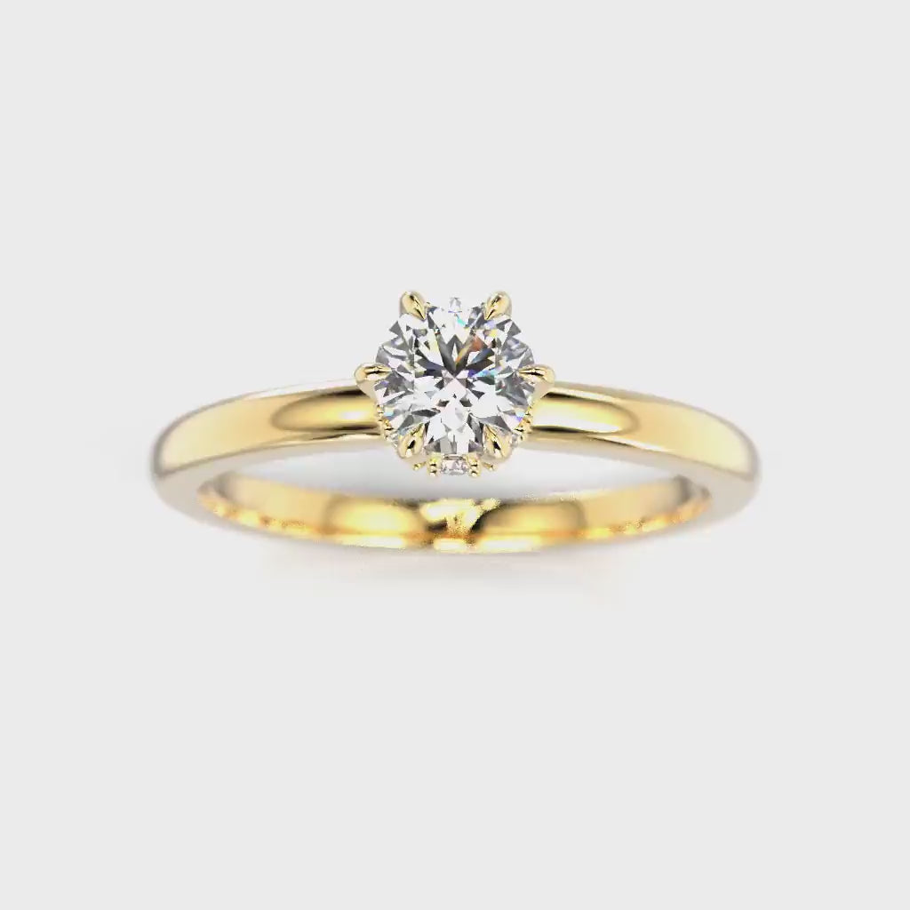Heidi Hidden Halo 0,38 ct