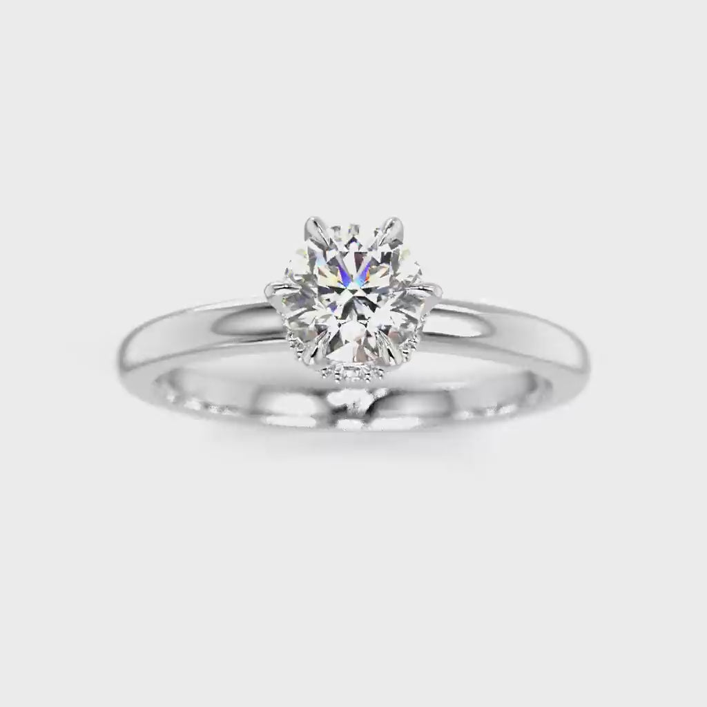 Heidi Hidden Halo 0,60 ct